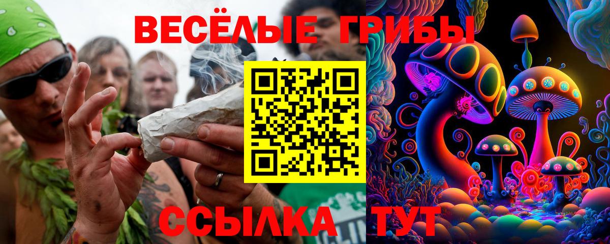наркошоп  Галлюциногенные грибы MAGIC MUSHROOMS  Вход с VPN  Валуйки 
